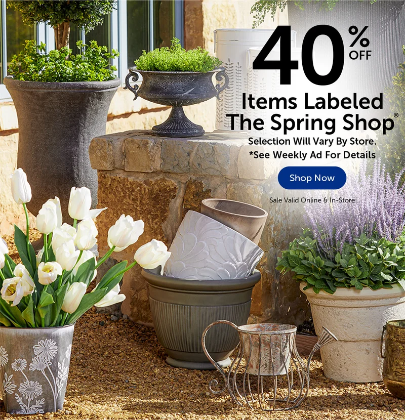 The Spring Shop
