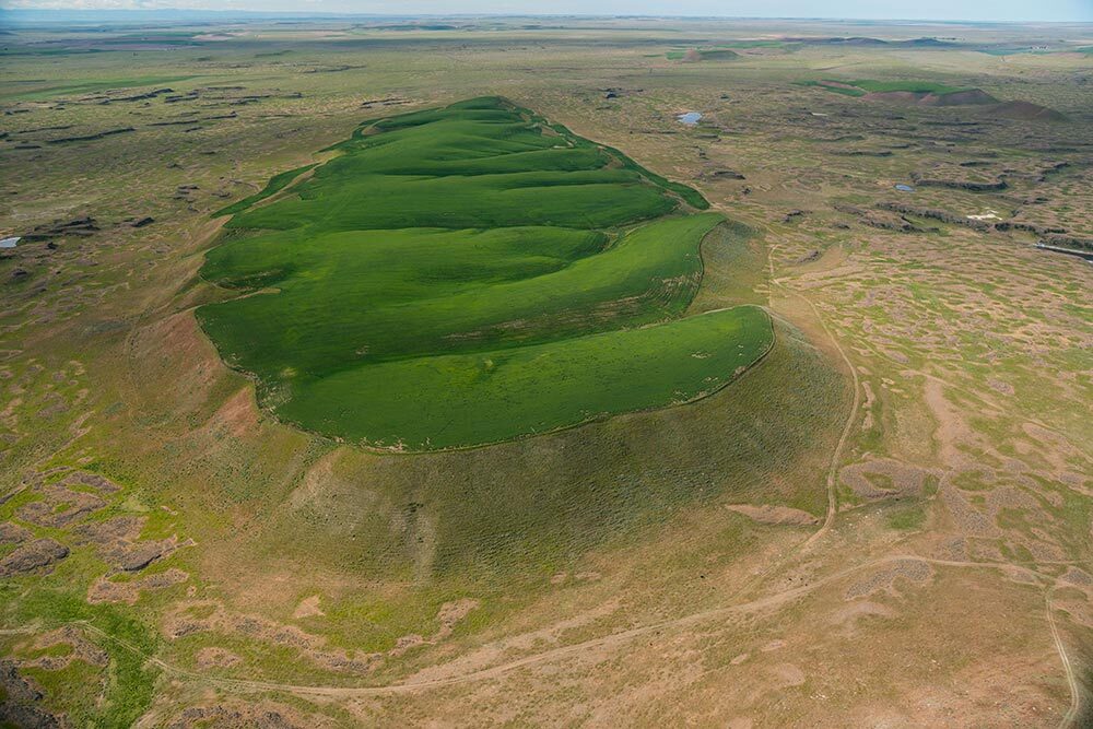 Remnant of a lost landscape, this island of ancient soil—crowned by a crop of wheat—survived the ice-age floods that sculpted this region.