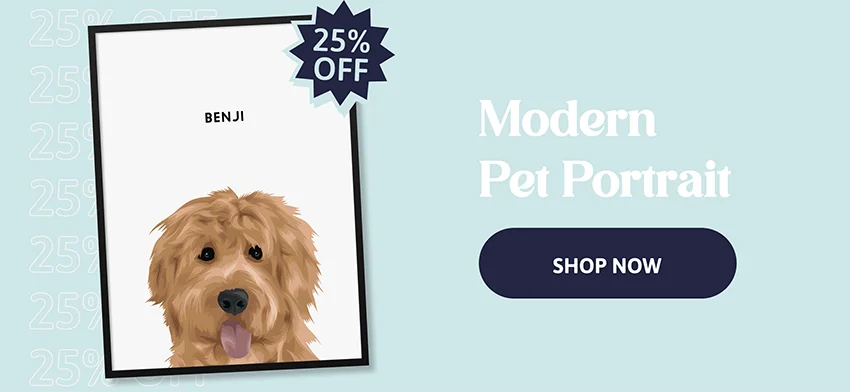 Modern Pet Portrait