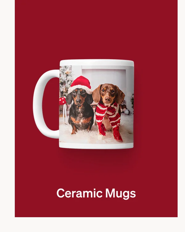 50% Off Almost Everything + 10Free Cards + 50% off Holiday Cards