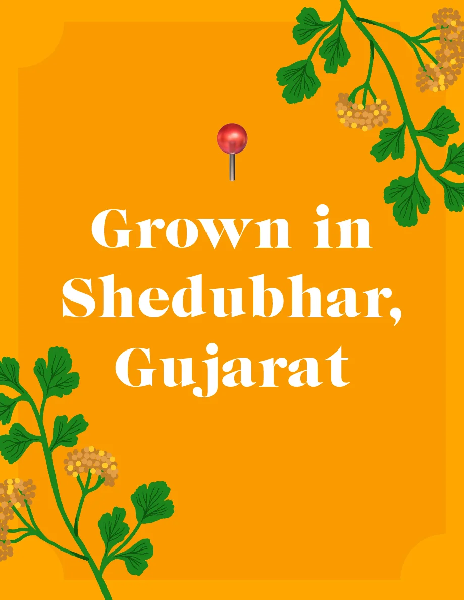 Grown in Shedubhar, Gujarat