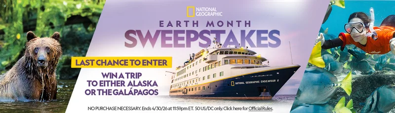 A poster for National Geographic Earth Month Sweepstakes with a bear, a ship, and a diver. A poster for National Geographic Earth Month Sweepstakes with a bear, a ship, and a diver.