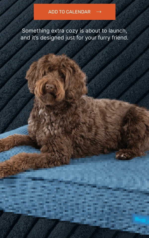 Add To Calendar • Something extra cozy is about to launch, and it’s designed just for your furry friend.