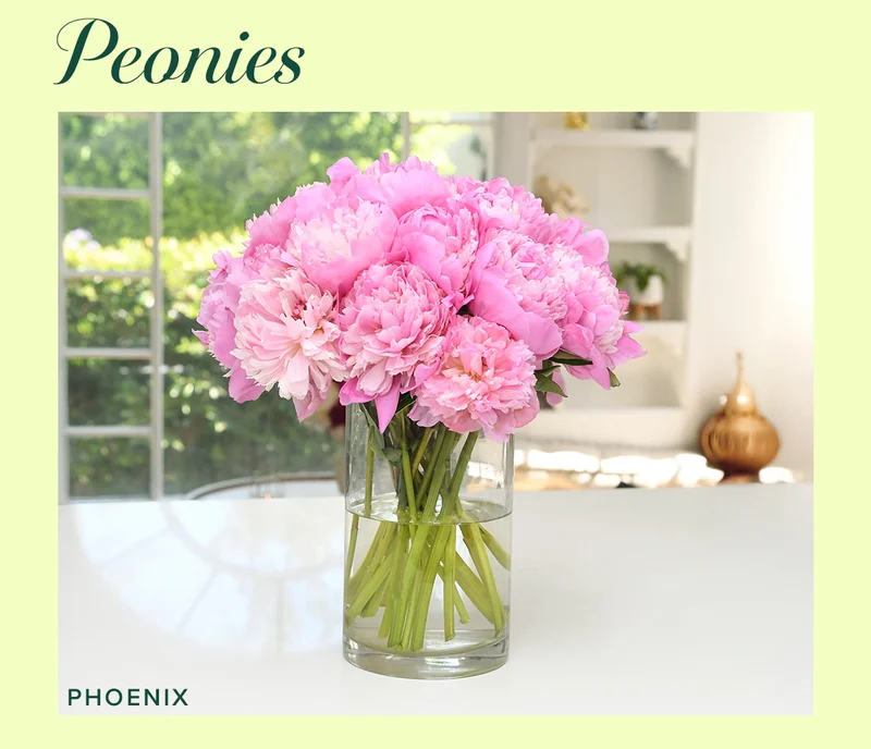 Peonies! Featured Bouq: Phoenix Peonies! Featured Bouq: Phoenix