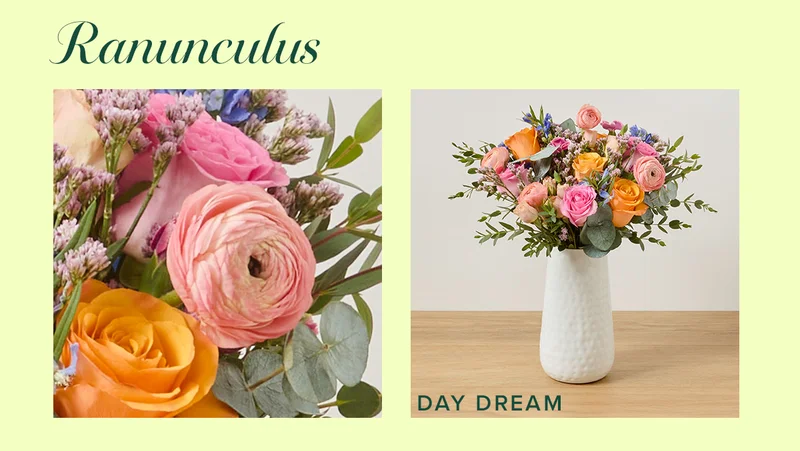 Ranunculus! Featured Bouq: Day Dream Ranunculus! Featured Bouq: Day Dream