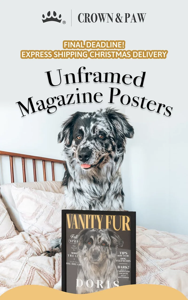 Deadline Extended! Express Shipping Christmas Delivery - Magazine Posters