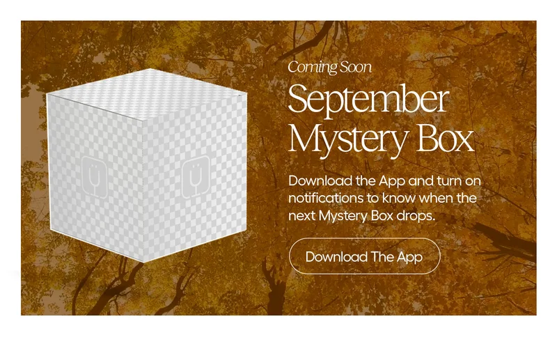 Coming Soon. September Mystery Box. Download the app and turn on notification to know when the next Mystery Box drops. - Download The App