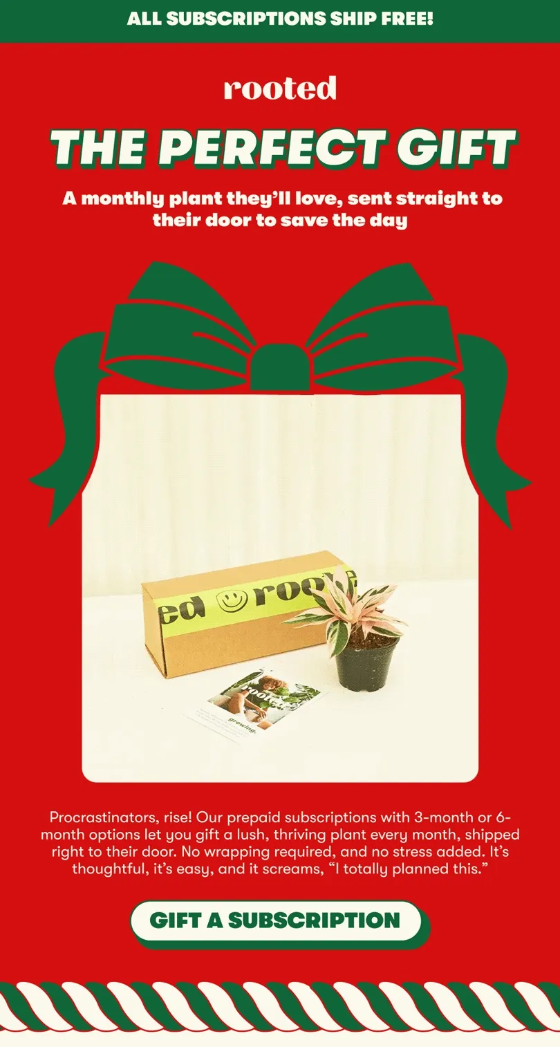 ALL SUBSCRIPTIONS SHIP FREE! THE PERFECT GIFT A monthly plant they’ll love, sent straight to their door to save the day Procrastinators, rise! Our prepaid subscriptions with 3-month or 6-month options let you gift a lush, thriving plant everymonth, shipped right to their door. No wrapping required, and no stress added. It’s thoughtful, it’s easy, and it screams, “I totally planned this.” [GIFT A SUBSCRIPTION]