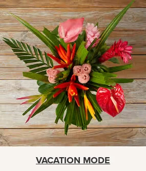Flowers At a Great Price