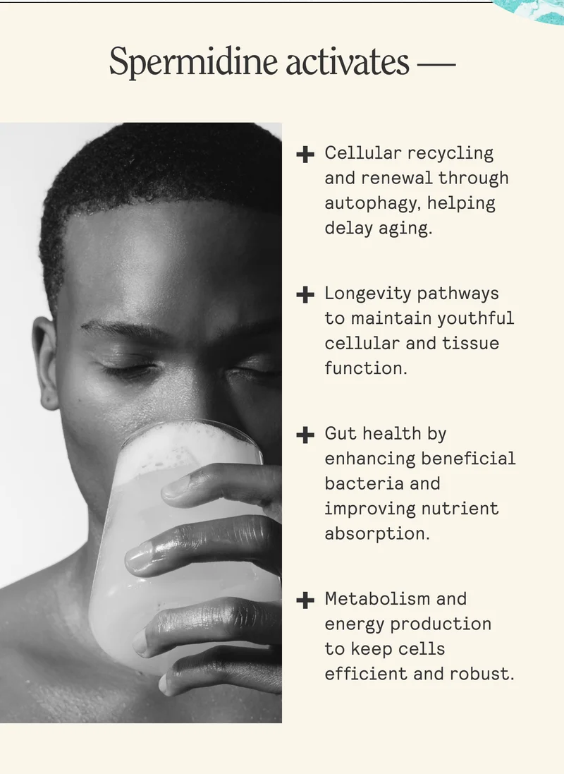 Spermidine activates. Cellular recycling and renewal through autophagy, helping delay aging. Longevity pathways to maintain youthful cellular and tissue function. Gut health by enhancing beneficial bacteria and improving nutrient absorption. Metabolism and energy production to keep cells efficient and robust.