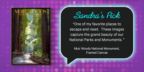 Sandra’s Pick: Muir Woods National Monument Framed Canvas - “One of my favorite places to escape and reset.  These images capture the grand beauty of our National Parks and Monuments"