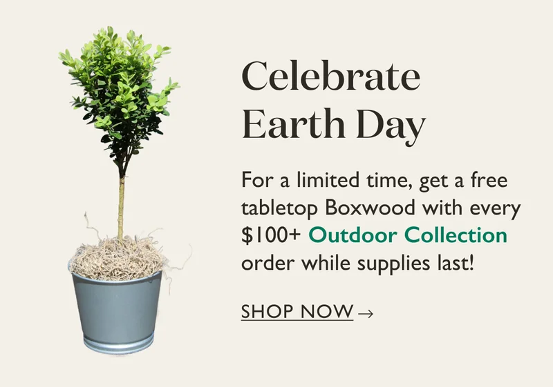 For a limited time, get a free tabletop Boxwood with every $100+ Outdoor Collection order while supplies last!