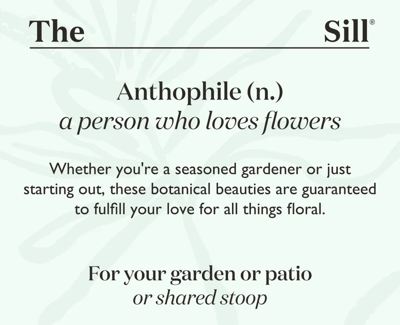Whether you're a seasoned gardener or just starting out, these botanical beauties are guaranteed to fulfill your love for all things floral.