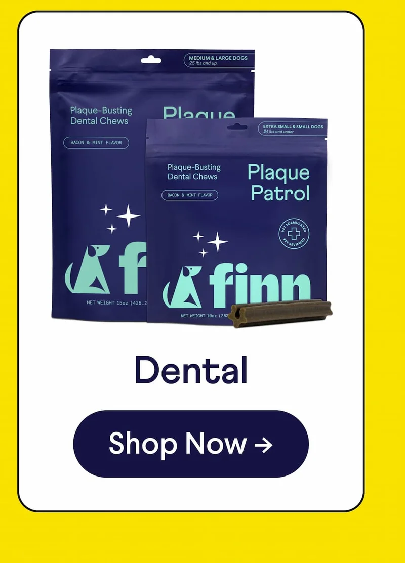 Dental. Shop now.