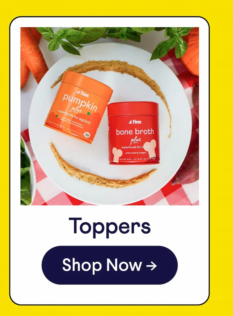 Toppers. Shop now.