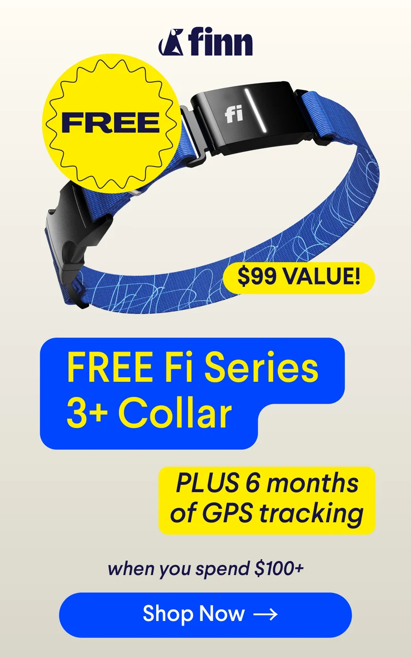FREE Fi Series 3+ Collar PLUS 6 months of GPS Tracking ($99 Value) when you spend $100+ | Shop Now –>