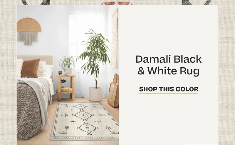 Damali Black White Rug