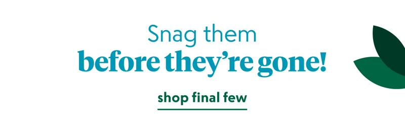 shop now