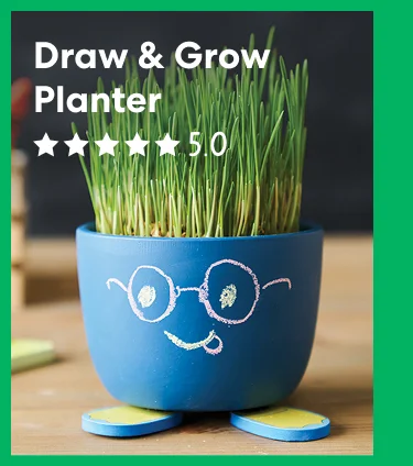Draw & Grow Planter
