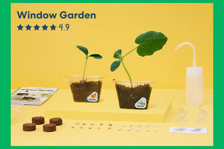 Window Garden