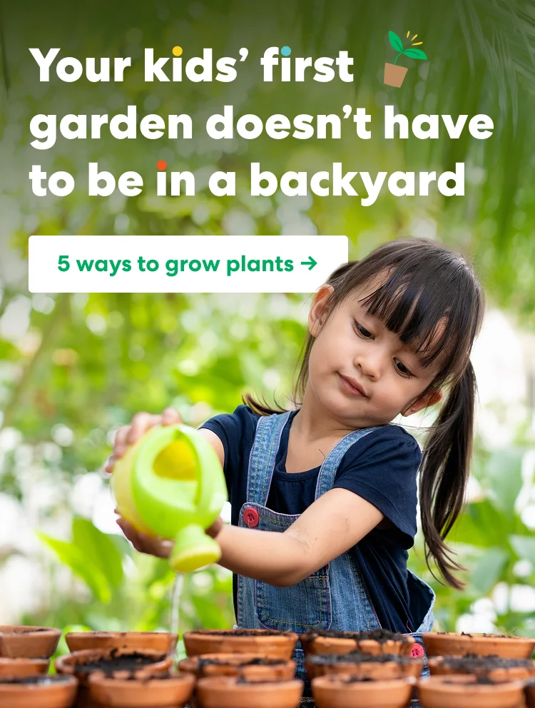 Your kids' first garden doesn't have to be in a backyard.