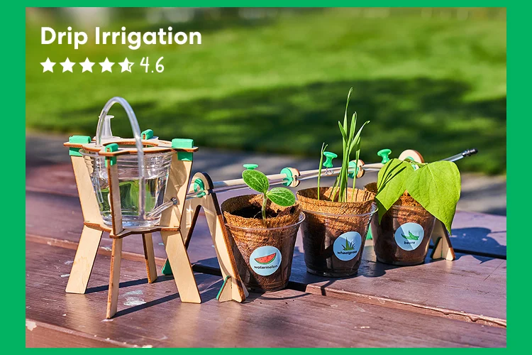 Drip Irrigation