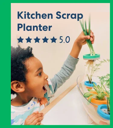 Kitchen Scrap Planter