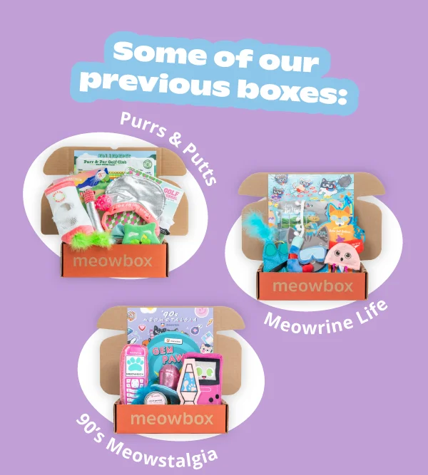 Some of our previous boxes: Purrs & Putts, Meowrine Life, '90s Meowstalgia.