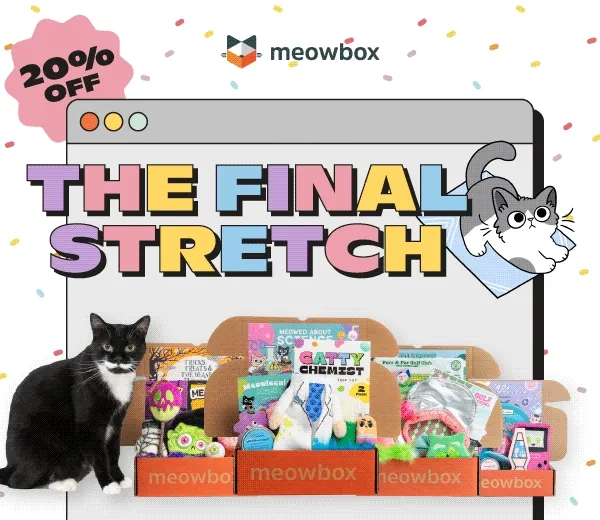 20% off! The Final Stretch! Image of a black and white cat in front of featured meowboxes (Meowed About Science, Tricks, Treats & Toe Beans, Purrs & Putts, '90s Meowstalgia and Meowrine Life and more).