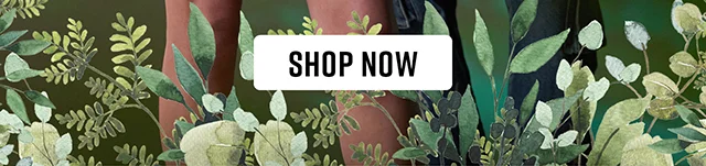 Princess Mononoke Shop Now