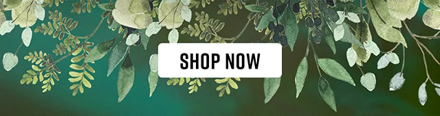Princess Mononoke Shop Now