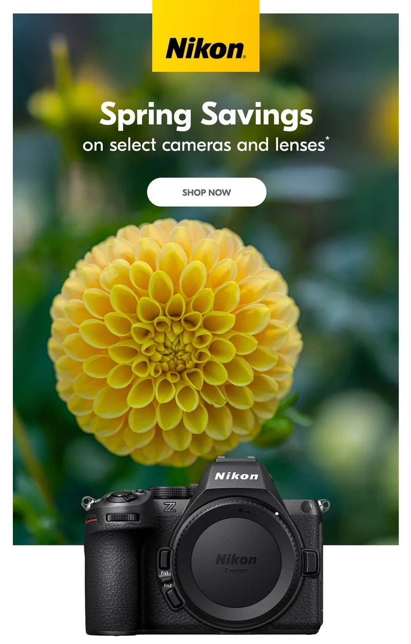 Nikon | Spring Savings on select cameras and lenses* | Shop Now