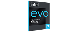 intel EVO
