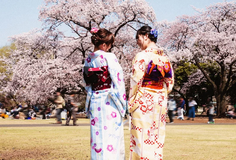 Image Description: Two women in kimonos at a cherry blossom park in Tokyo