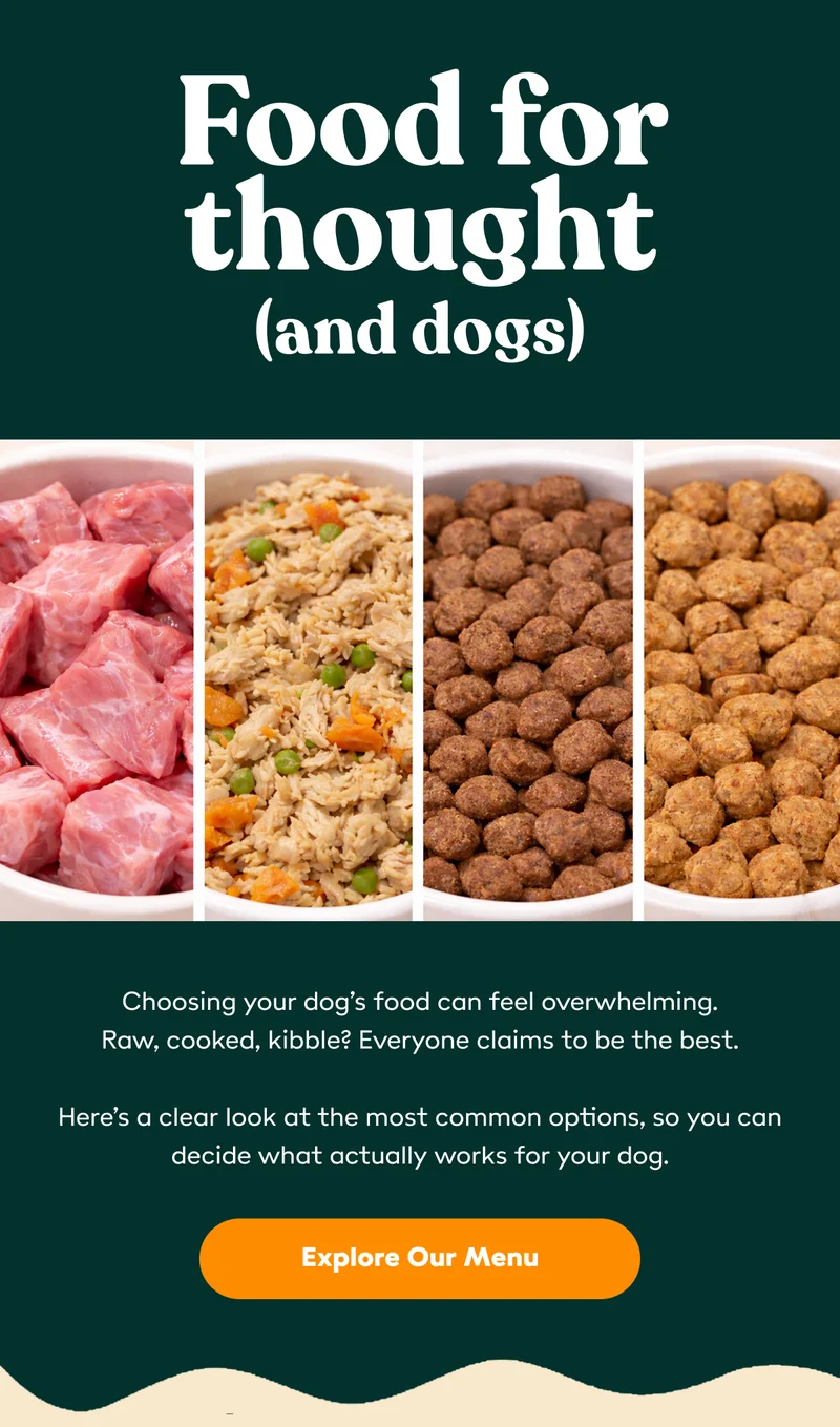 Fodd for thought (and dogs)