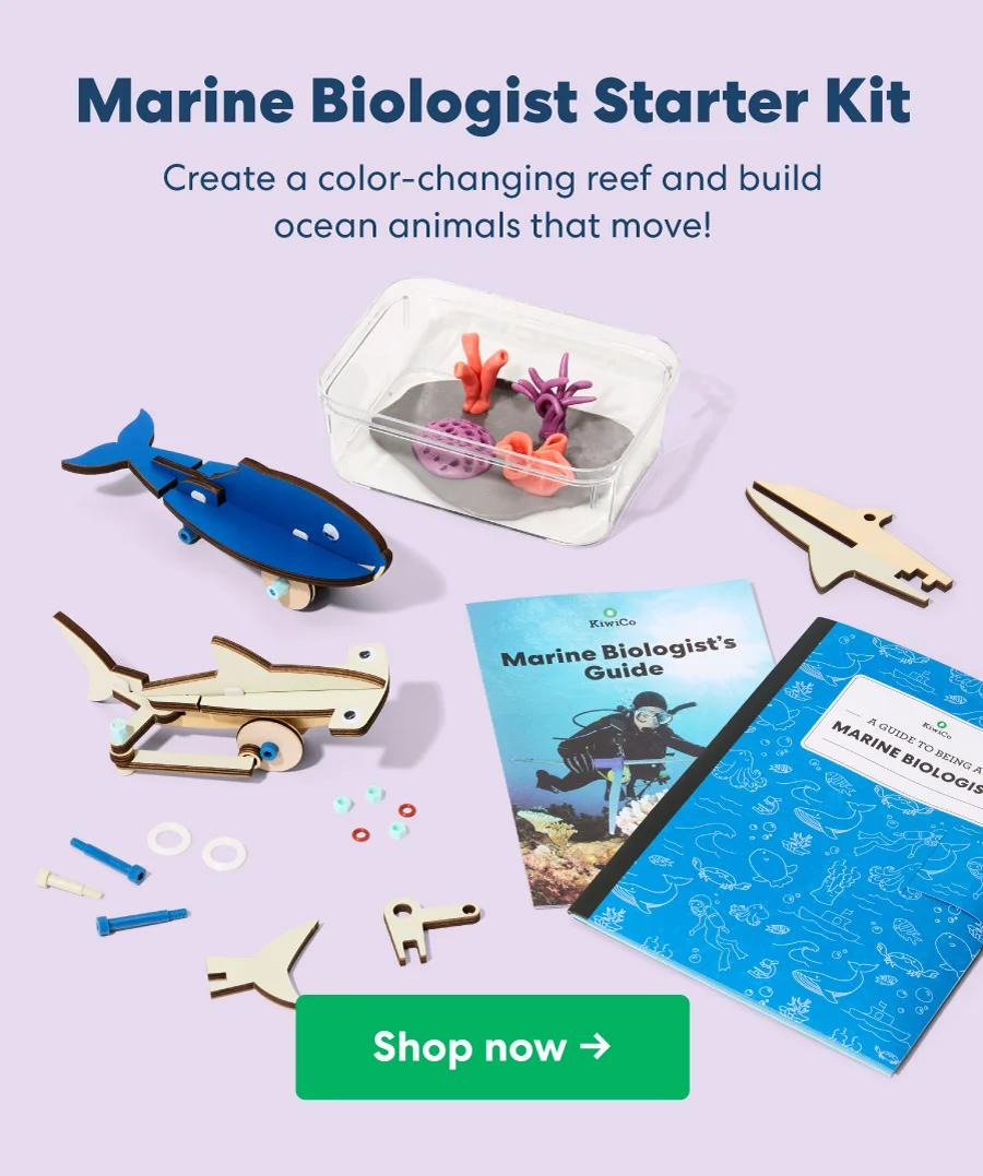 Marine Biologist Starter Kit