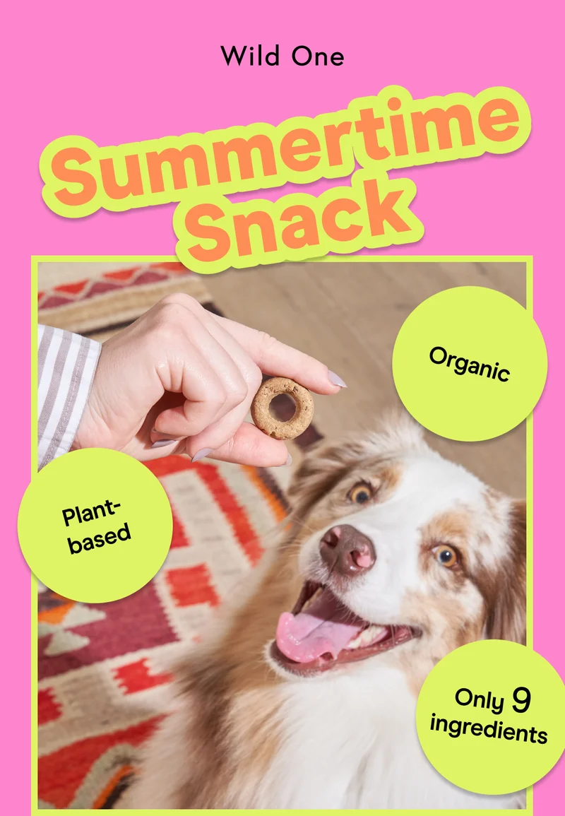 Summertime Snack Plant-based Organic Only 9 ingredients