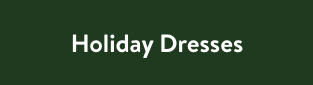 Holiday Dresses