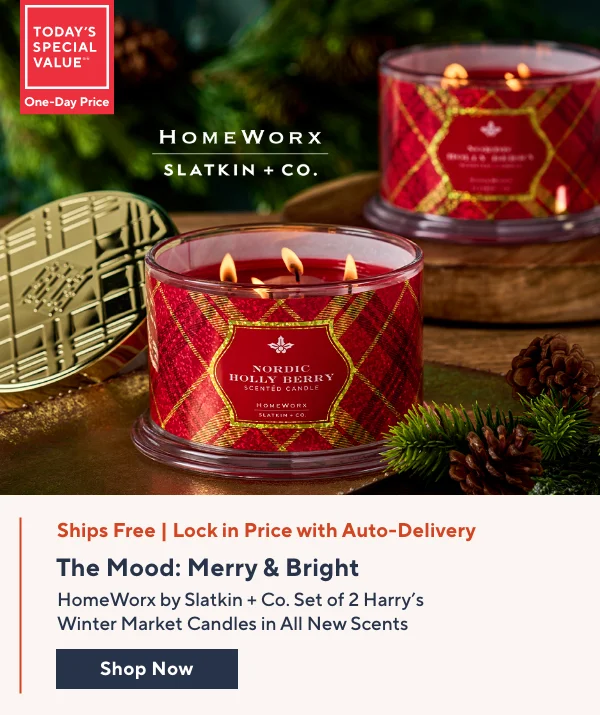 Homeworx TSV