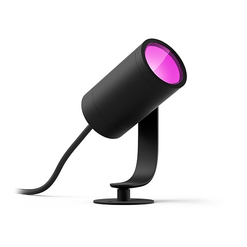 Lily spotlight
