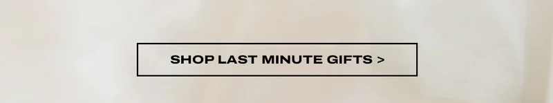 SHOP LAST MINUTE GIFTS >