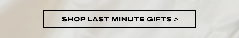 SHOP LAST MINUTE GIFTS >