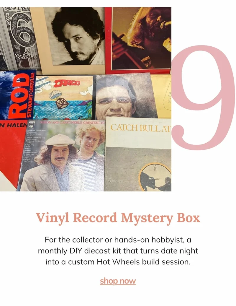 Vinyl Record Mystery Box - 7 Original LP Albums