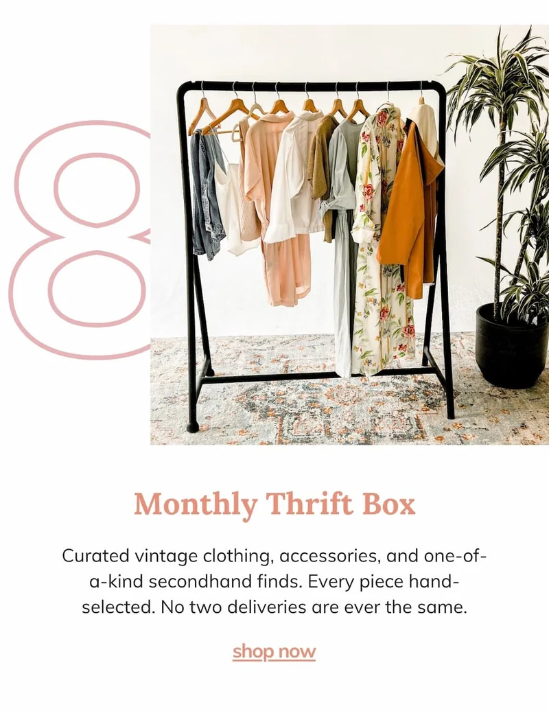 Monthly Thrift Box A Curated Thrift
