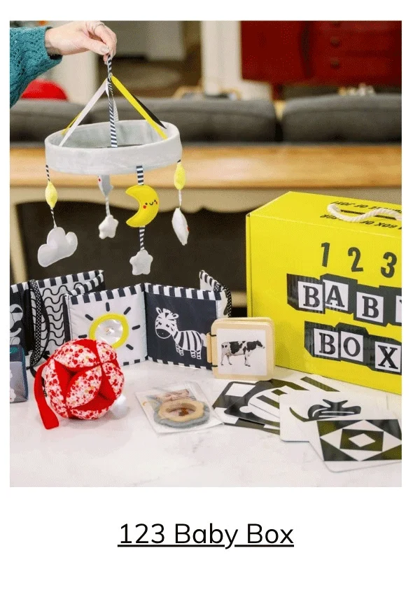 123 Baby Box Monthly Subscription