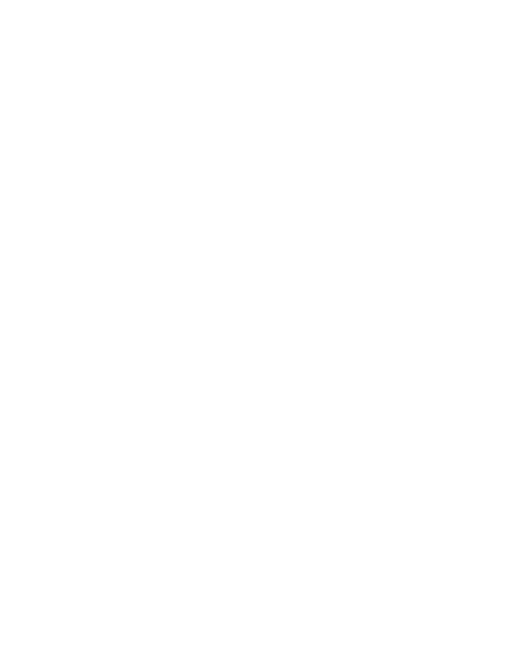 stylus