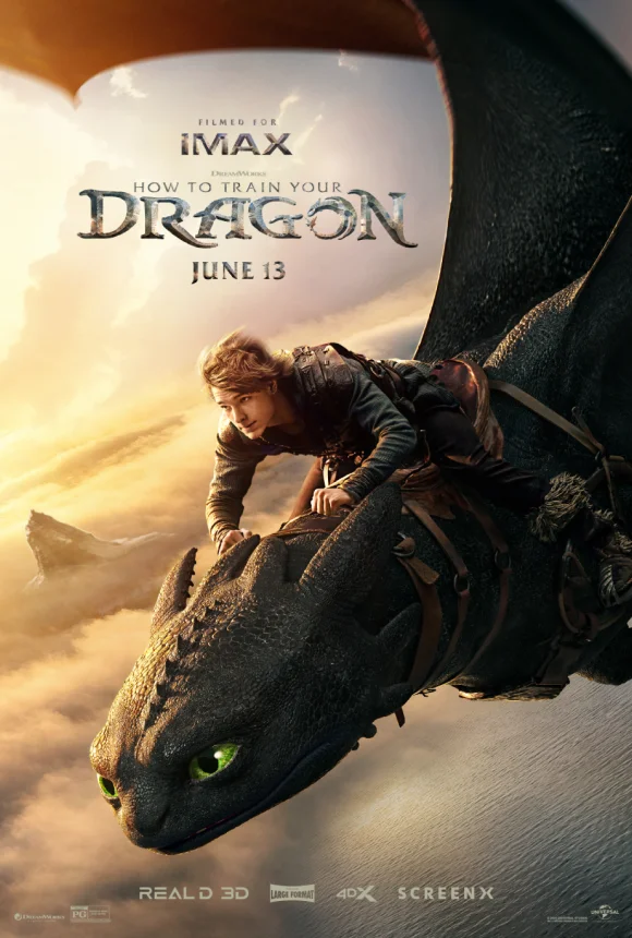 HOW TO TRAIN YOUR DRAGON POSTER