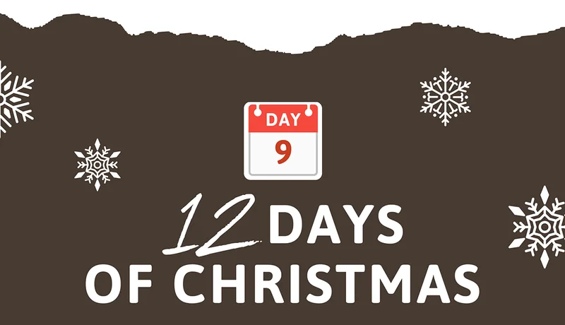 DAY 9: 12 Days of Christmas: BOGOHP Pet Face Sweatshirts