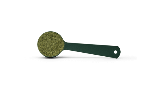 Metal Scoop