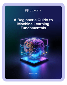 A Beginner's Guide to Machine Learning